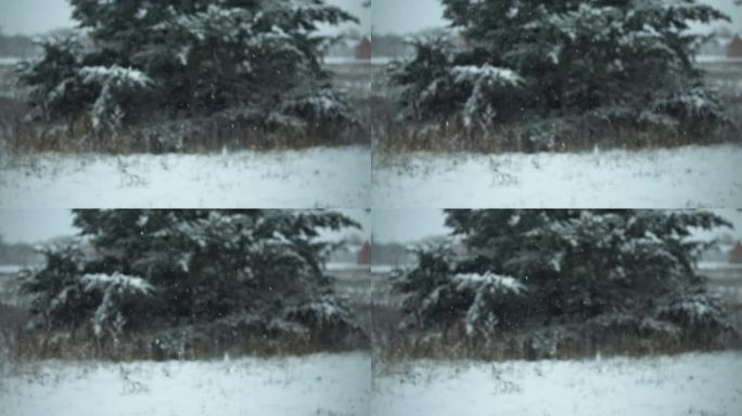 外面的雪落得很慢，覆盖了地面和树木。圣诞节，冬天下雪的背景，因为雪落在慢动作创造一个环境背景。