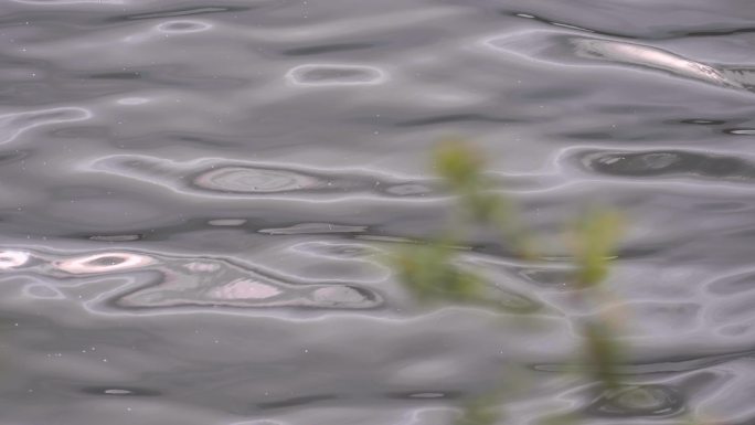 波光粼粼的湖面江面湖水河流