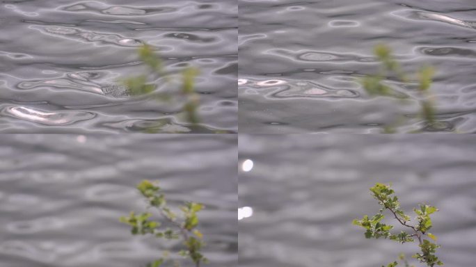 波光粼粼的湖面江面湖水河流