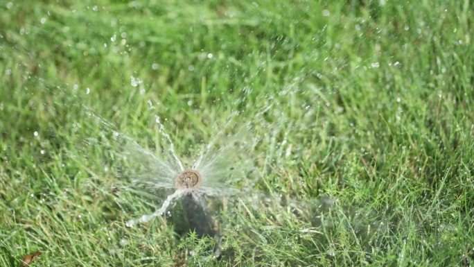 公园里的洒水器向郁郁葱葱的草地喷水，慢动作