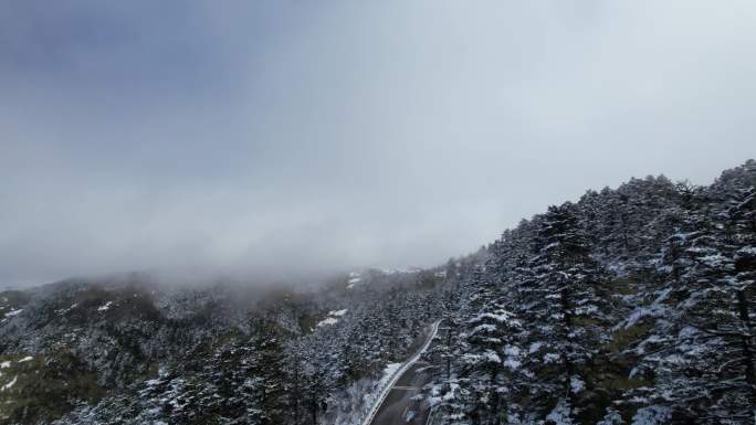 4K冬季雾凇公路自然风光航拍视频