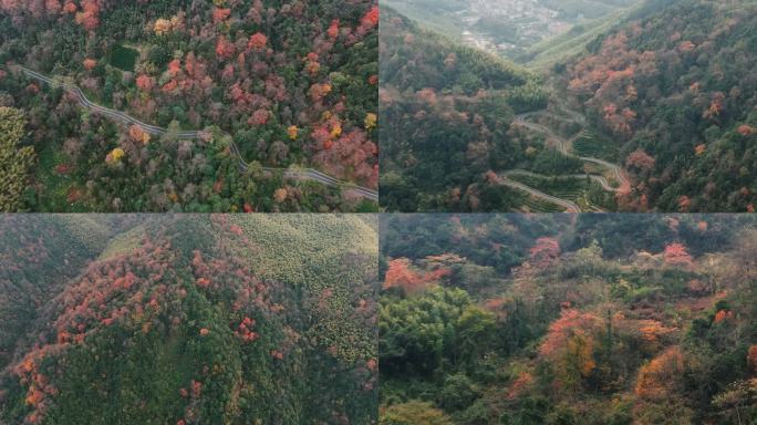 杭州富阳墅溪村林峰山森林秋色航拍