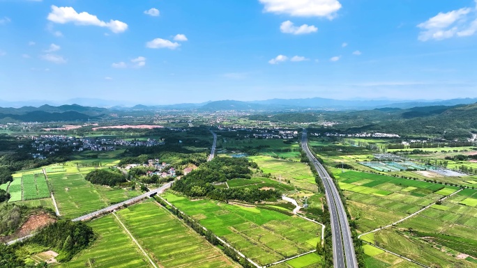 4K 航拍农村稻田风光乡村公路