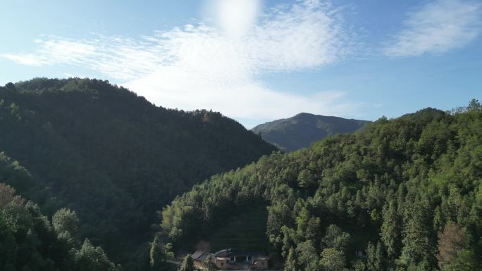 乡村绿水青山林业自然资源