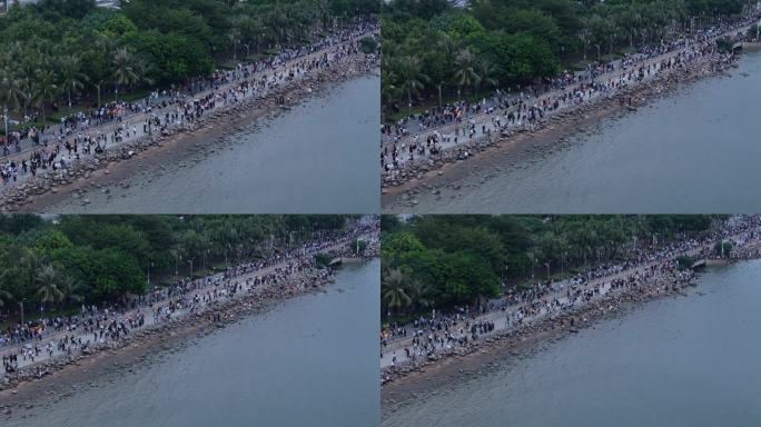 深圳湾公园假日游玩的人群