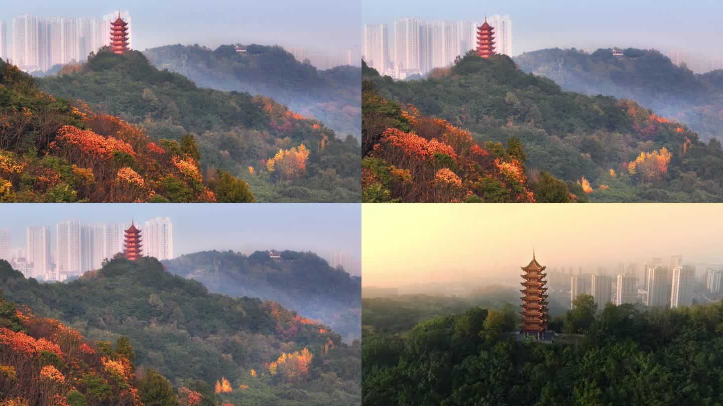 重庆-渝北-大竹林- 红叶照母山公园