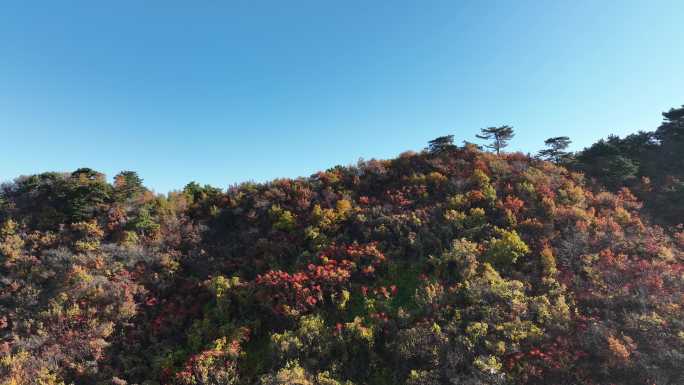 辽宁千山秋景航拍