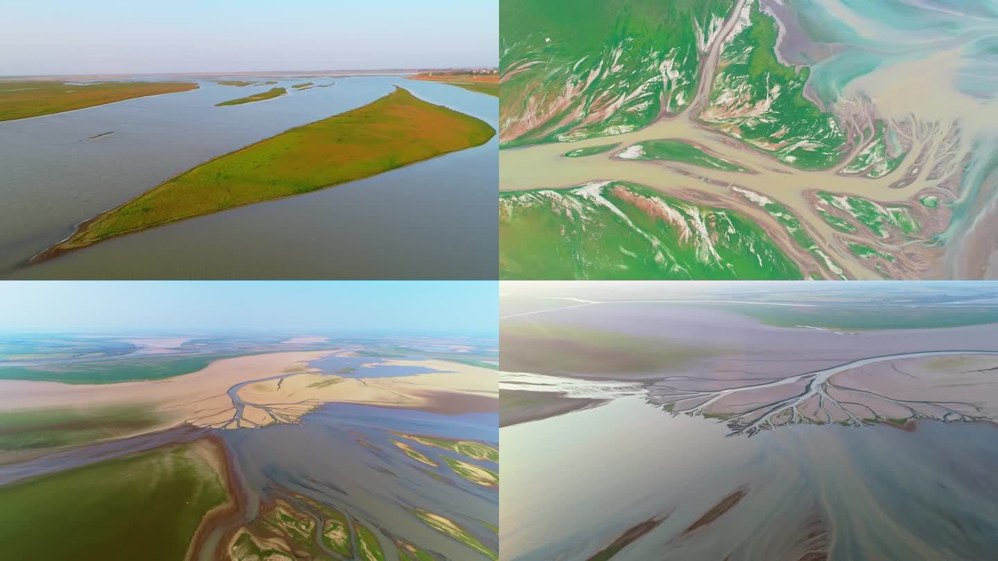 鄱阳湖湿地生命之树景观 鄱阳湖大草原航拍