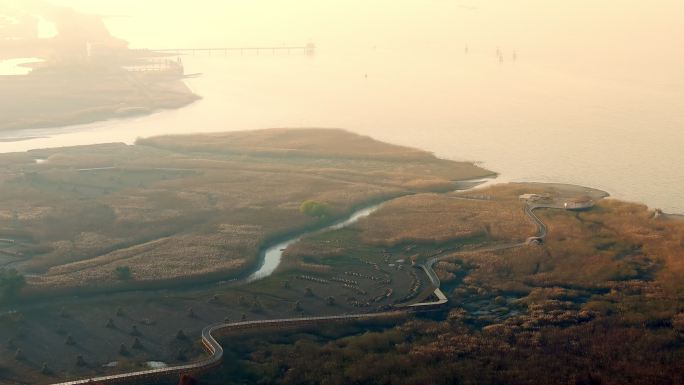 长江流域上海崇明西沙国家湿地公园