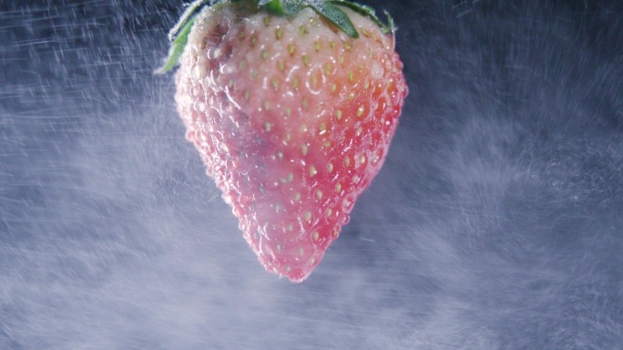 草莓创意升格广告素材