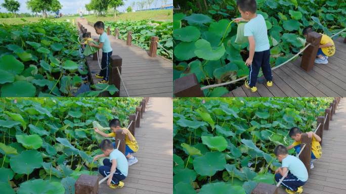 夏天儿童小孩小朋友小学生池塘边玩水