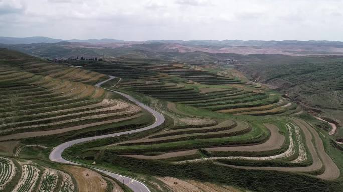 宁夏固原：黄土高原的公路