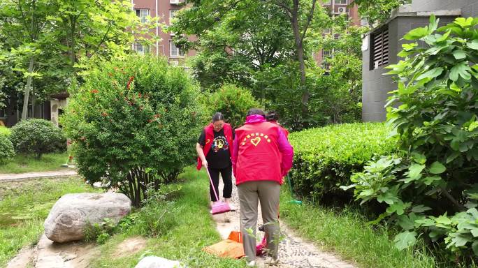 志愿者清理社区景观河道