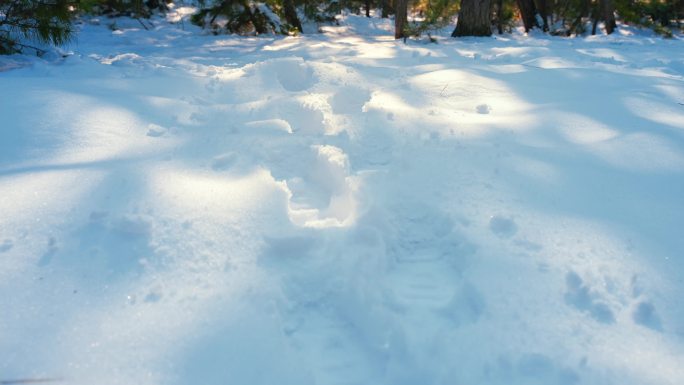 冬天雪地里的脚印
