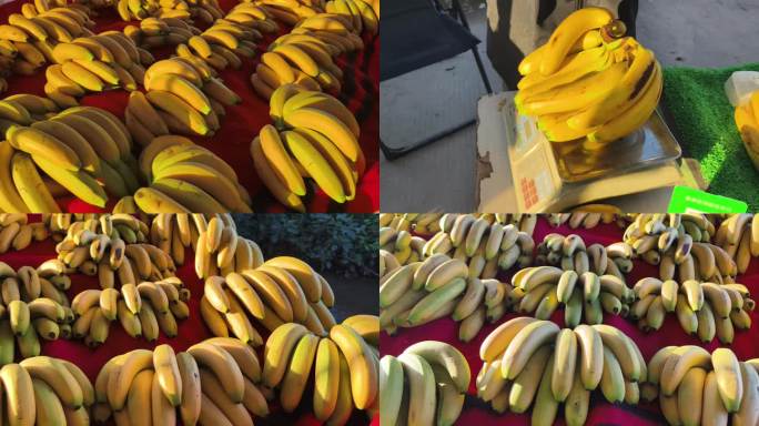 香蕉摊贩买卖玉林香蕉产地
