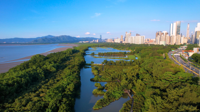 深圳红树林海滨生态公园