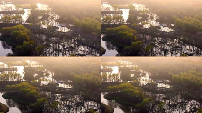上海崇明西沙国家湿地公园景观设计