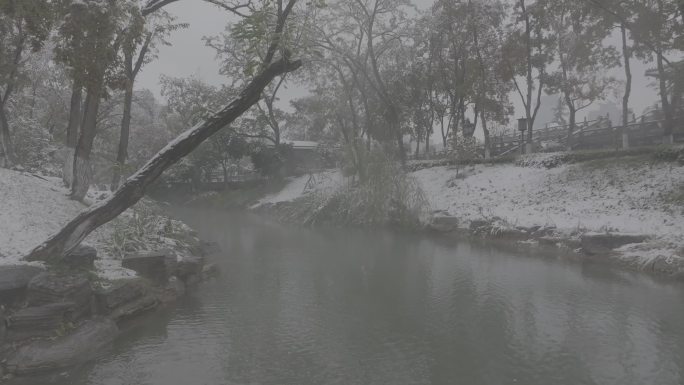古城西安地标兴庆宫公园景区航拍雪景文旅