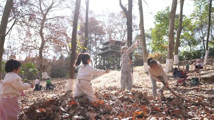 秋季小孩子树下玩耍