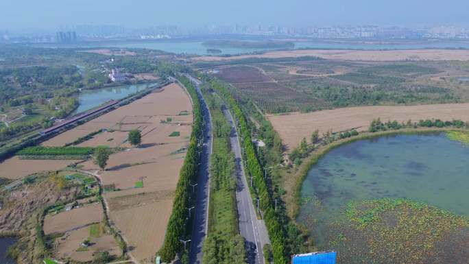 4K航拍短片.淮北南湖湿地