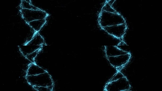 DNA基因工程生命技术