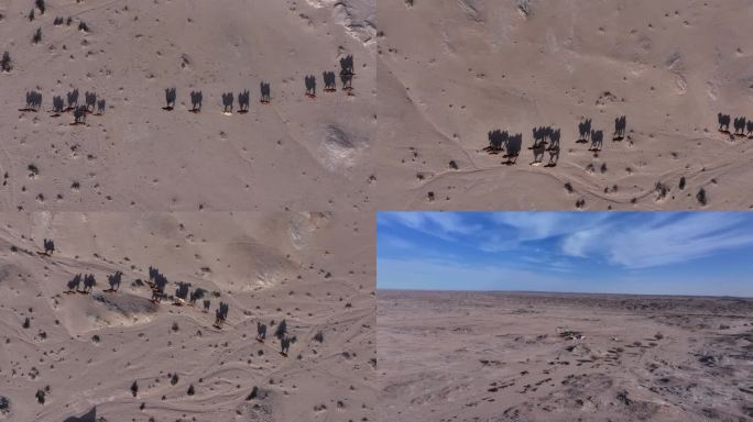 戈壁 骆驼视频 骆驼影 倒影 行走无人区