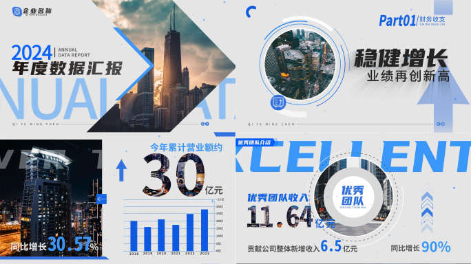 会数据报告 企业年报工作汇报