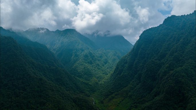 山谷航拍延时森林大自然风景