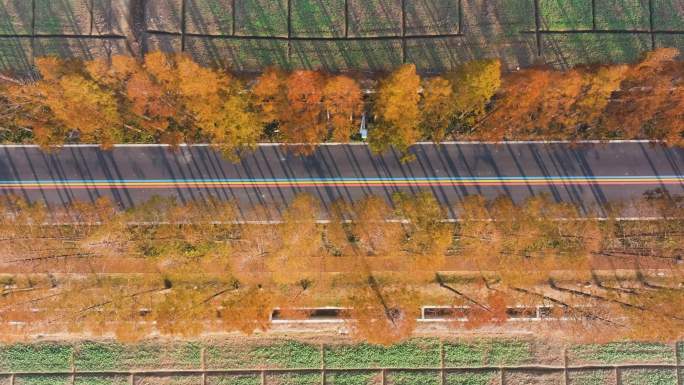 秋天的彩虹公路俯视航拍