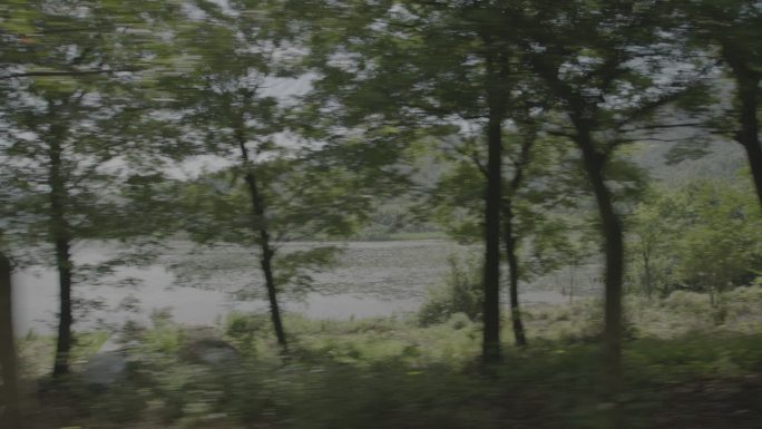 湖边河边路边水边车戏素材背景夏天绿植绿山
