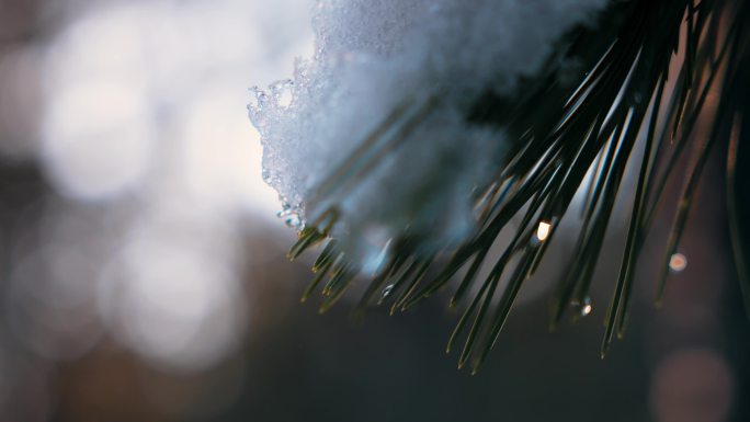 雪融化