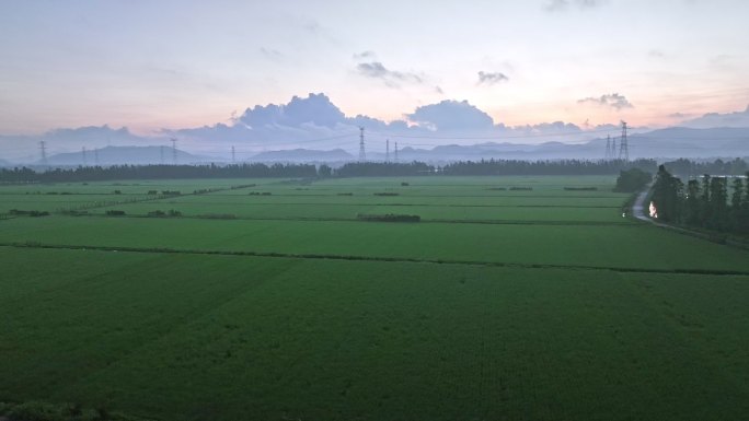 广东珠海绿色的稻田乡村田野航拍4k