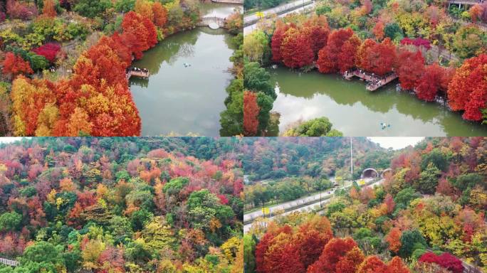 台州市路桥区，中央山公园航拍