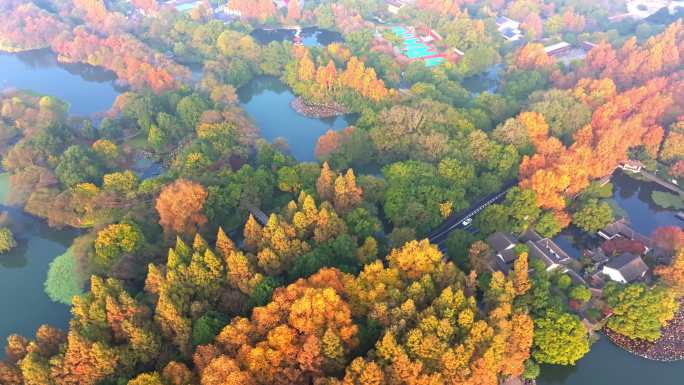 杭州西湖地秋天航拍