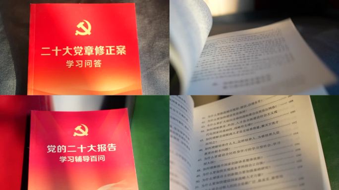 二十大学习材料书籍资料党政党建