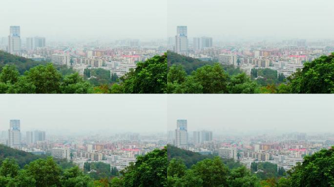 雾气下的广州城下