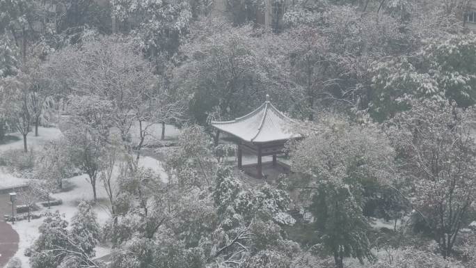 古城西安地标兴庆宫公园景区航拍雪景文旅