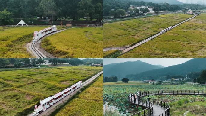 4K稻田小火车旅游乡村景区青原山