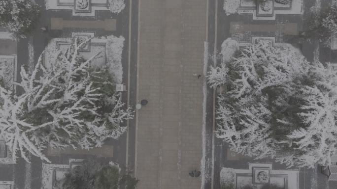 古城西安地标兴庆宫公园景区航拍雪景文旅