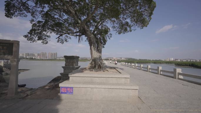 福建泉州地标景点人文4k