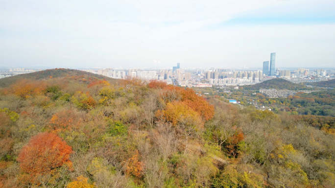 镇江市润州区南山风景区秋色