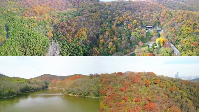 镇江市润州区南山风景区秋色