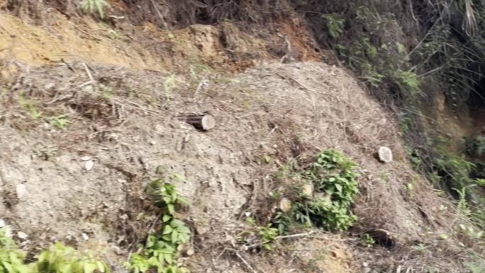 开车行驶在山林土路森林道路树林山路公路