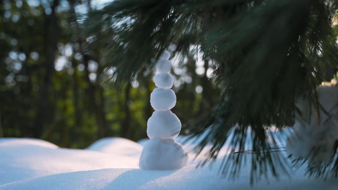 冬天雪松树林冬季雪景