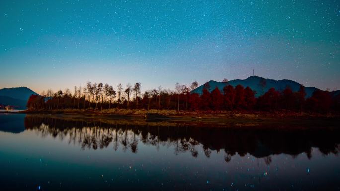 宣城落羽杉湿地公园星空延时摄影