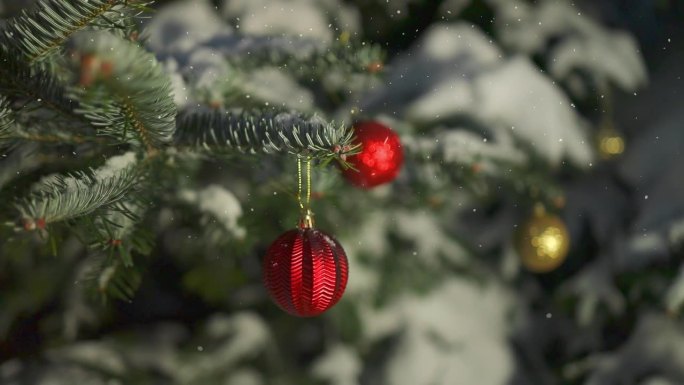 新年快乐的圣诞树用红色的玻璃球装饰在树枝上，背景是雪。雪落在杉树的树枝上