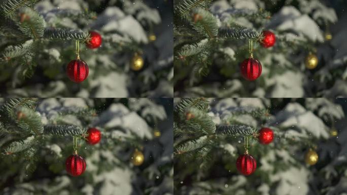 新年快乐的圣诞树用红色的玻璃球装饰在树枝上，背景是雪。雪落在杉树的树枝上