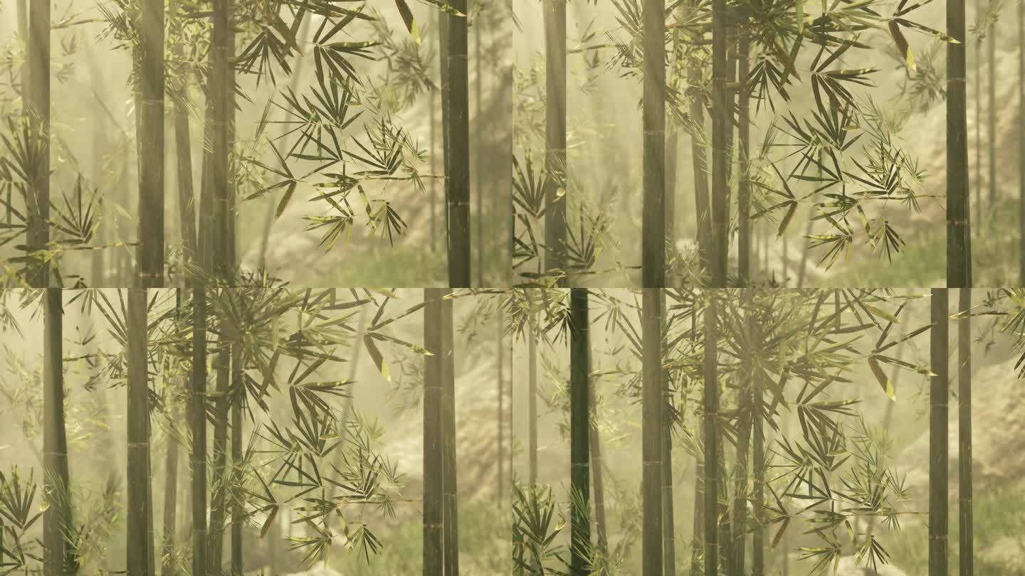 雾气笼罩着一片宁静的竹林