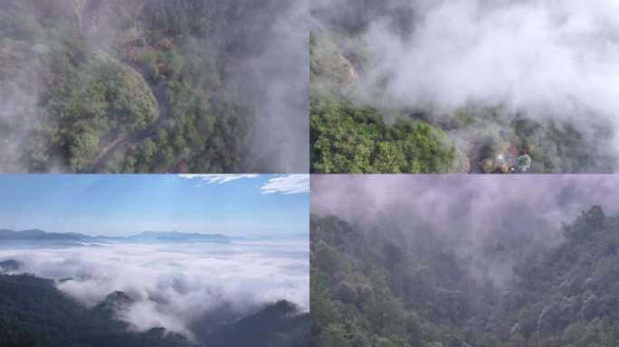 森林公园云雾缭绕4K航拍