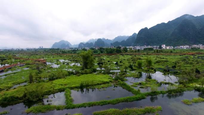 生态公园 湿地公园 沼泽地 国家湿地公园